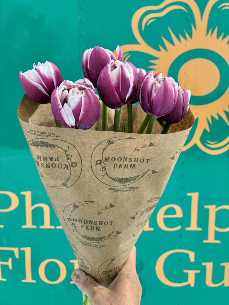 Moonshot Farms sells wholesale through the Philadelphia Floral Guild