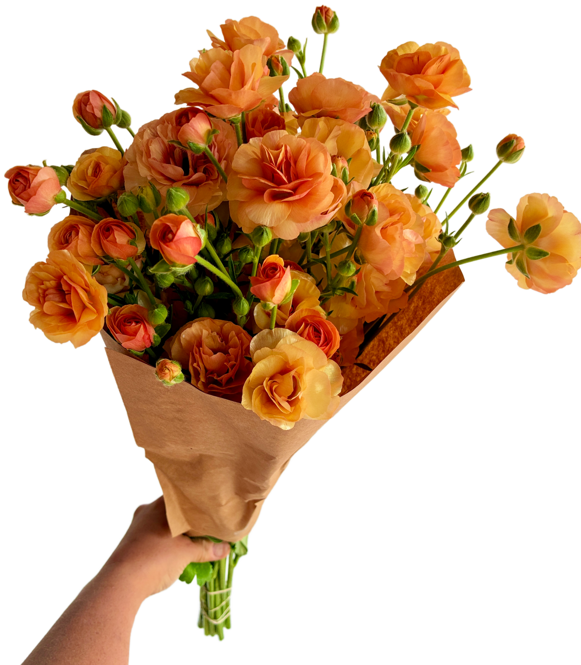 Wholesale flowers in Philadelphia