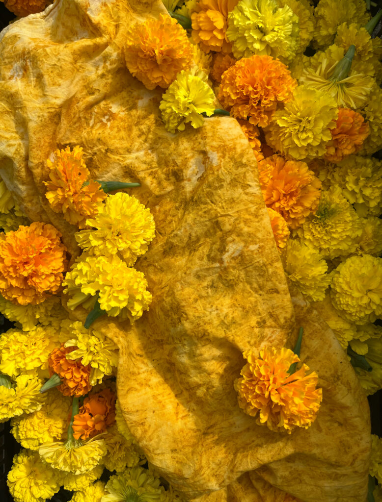 What Flower Farmers Do for Fun at Philadelphia Floral Guild