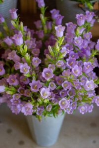 Philadelphia Floral Guild connects local flower farms and Philadelphia florists with a wholesale hub