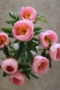 Philadelphia Floral Guild connects local flower farms and Philadelphia florists with a wholesale hub