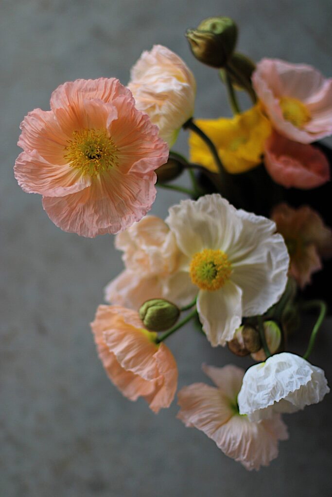Icelandic Poppies available at Philadelphia Floral Guild