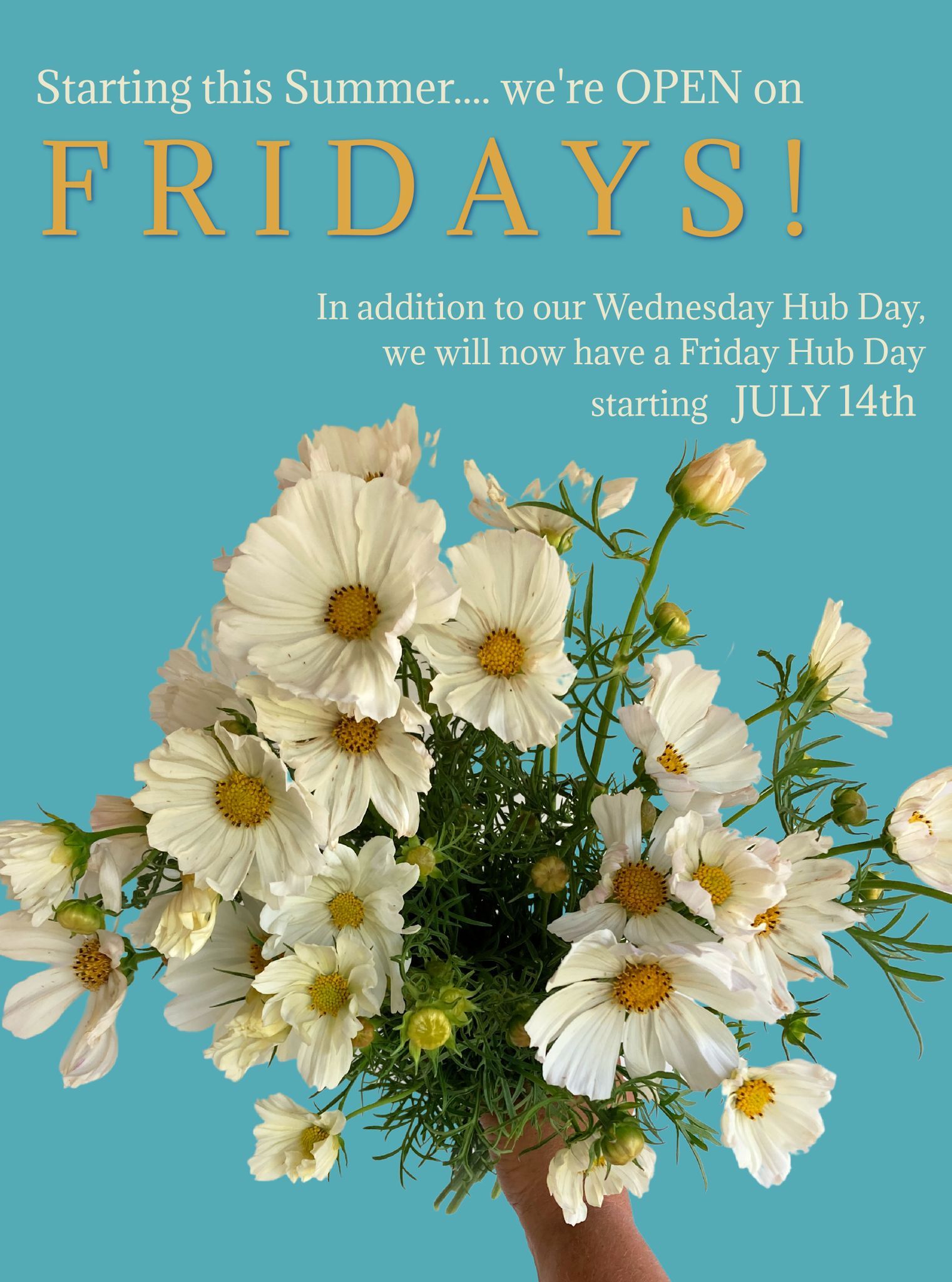 Philadelphia Wholesale Flowers Now Available on Fridays Philadelphia