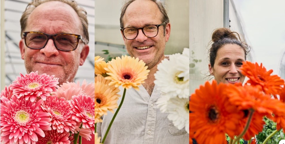 East Coast Blooms sells wholesale gerbera daisies at Philadelphia Floral Guild.