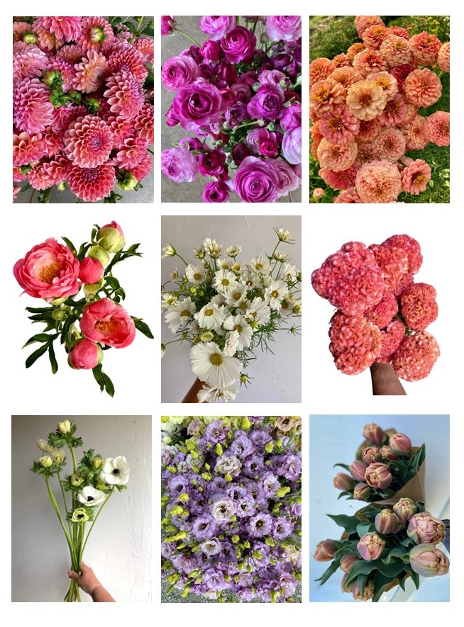 Top Ten Local Flowers in 2024