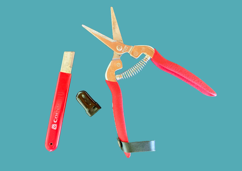 Longer Vase Life for Flowers with Sharp Cutting Tools