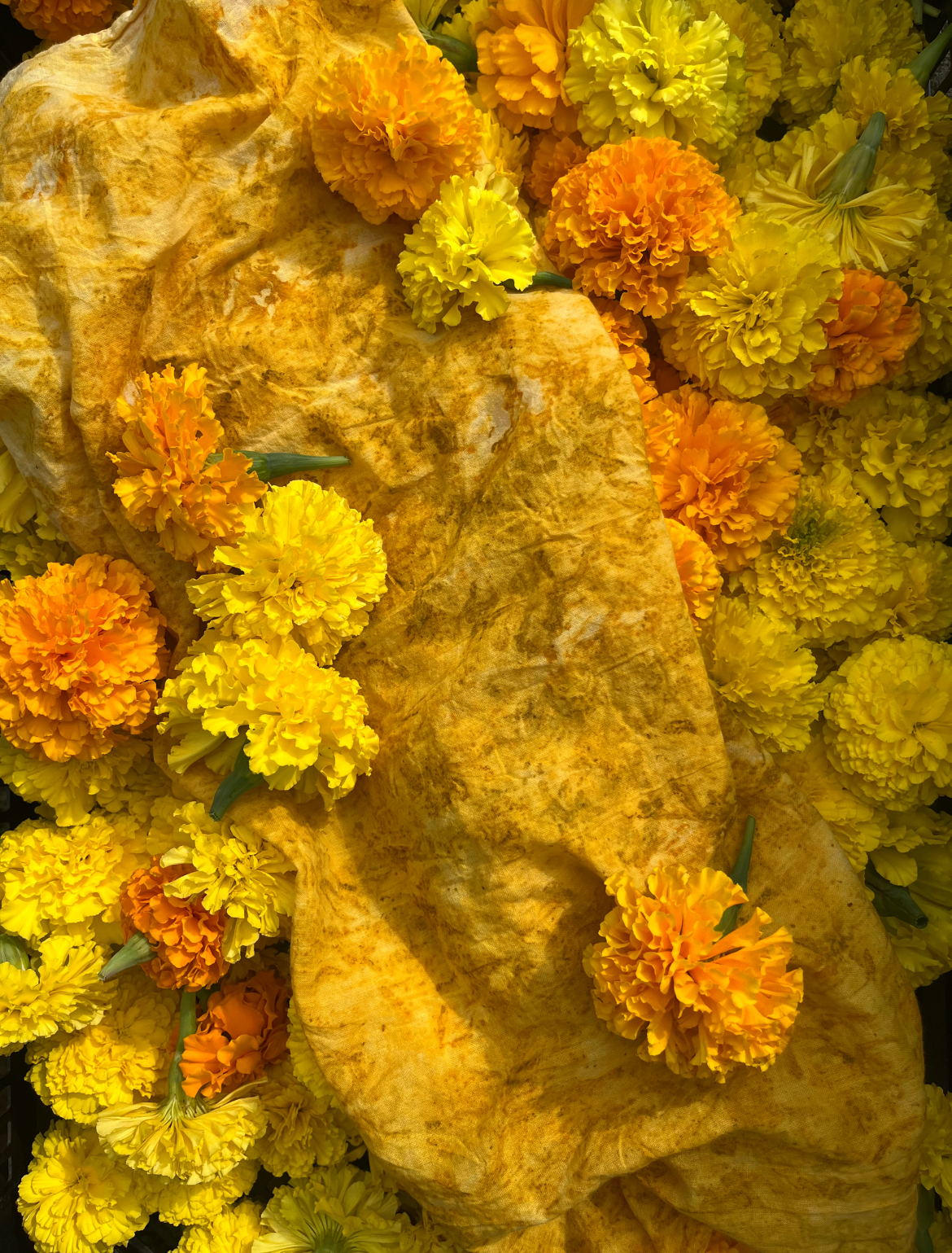 What Flower Farmers Do for Fun at Philadelphia Floral Guild