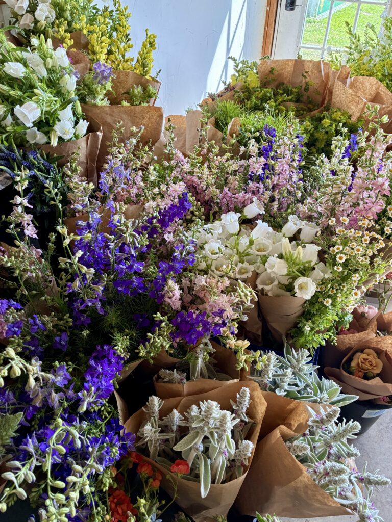 Bloom Bar Flowers in Philadelphia | Bulk Flowers for DIY Events