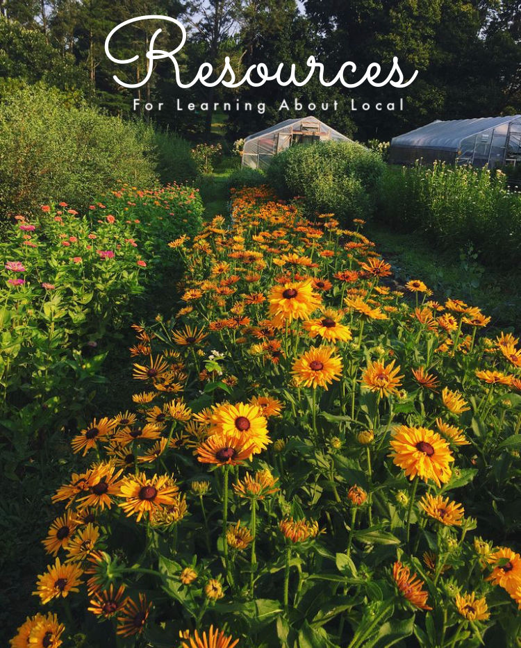 Resources for learning about local flowers and seasonality
